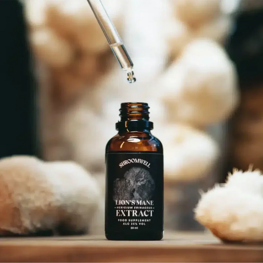 Εκχύλισμα Lion’s Mane υψηλής ποιότητας, με διπλή εκχύλιση και ultrasonic τεχνολογία από τη Shroomwell Εσθονίας, διαθέσιμο στο Zen Zone για μνήμη, συγκέντρωση και εγκεφαλική υγεία.